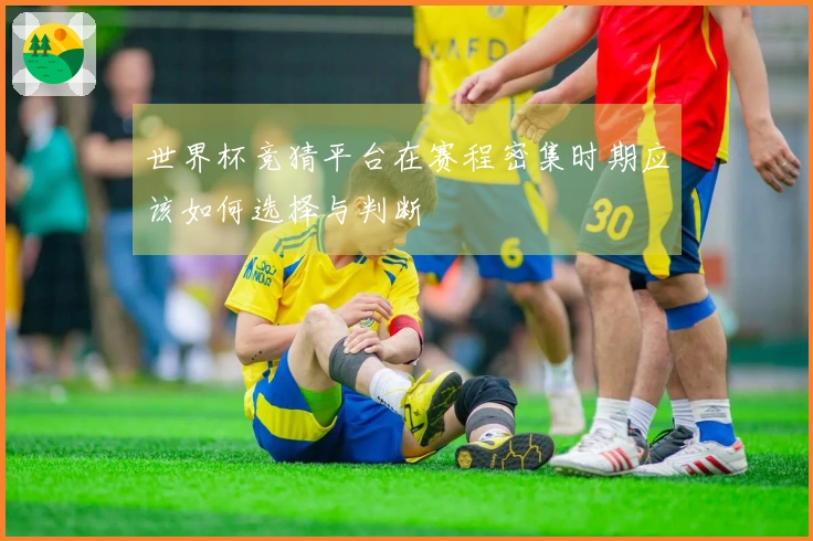 世界杯竞猜平台在赛程密集时期应该如何选择与判断