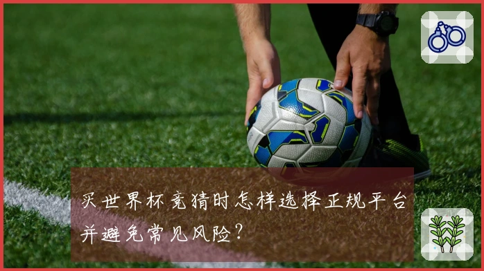 买世界杯竞猜时怎样选择正规平台并避免常见风险?