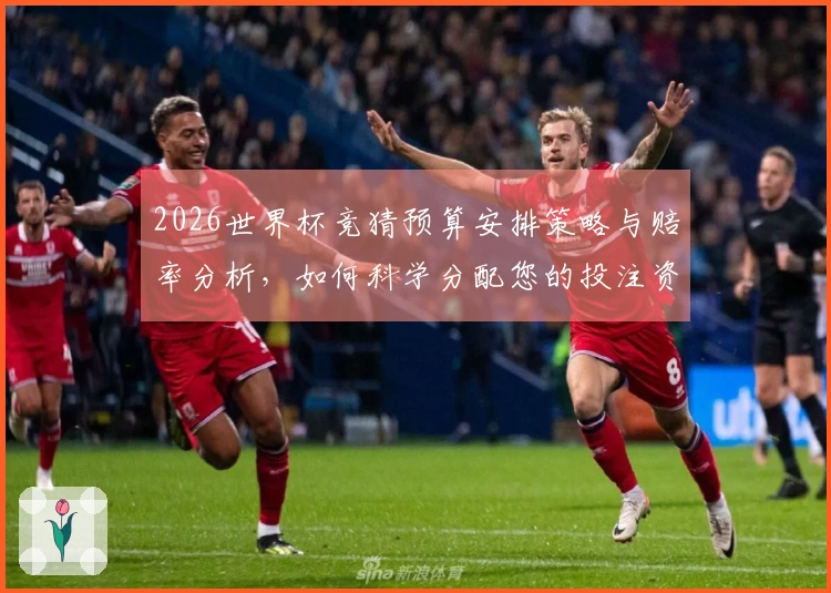 2026世界杯竞猜预算安排策略与赔率分析，如何科学分配您的投注资金