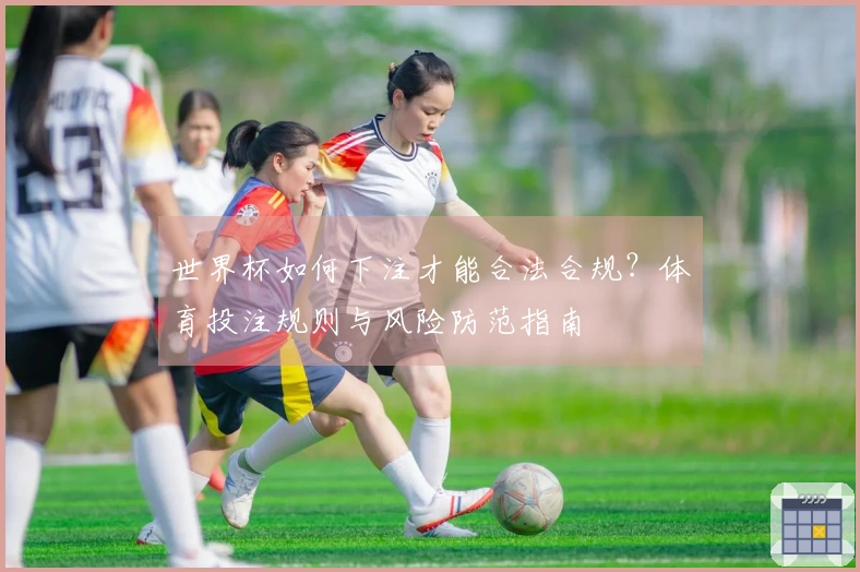 世界杯如何下注才能合法合规？体育投注规则与风险防范指南