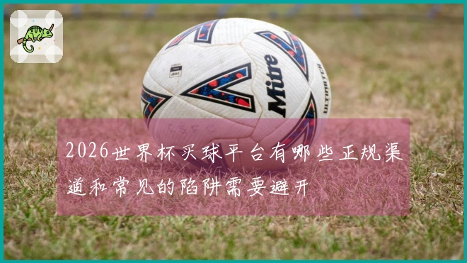 2026世界杯买球平台有哪些正规渠道和常见的陷阱需要避开